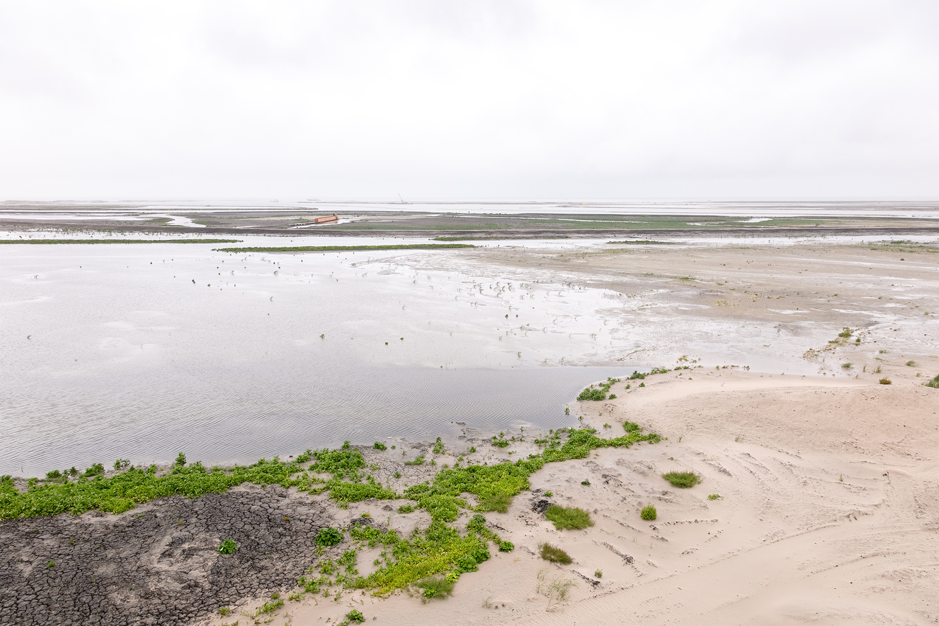 SP2018-Marker-Wadden-2-HiRes