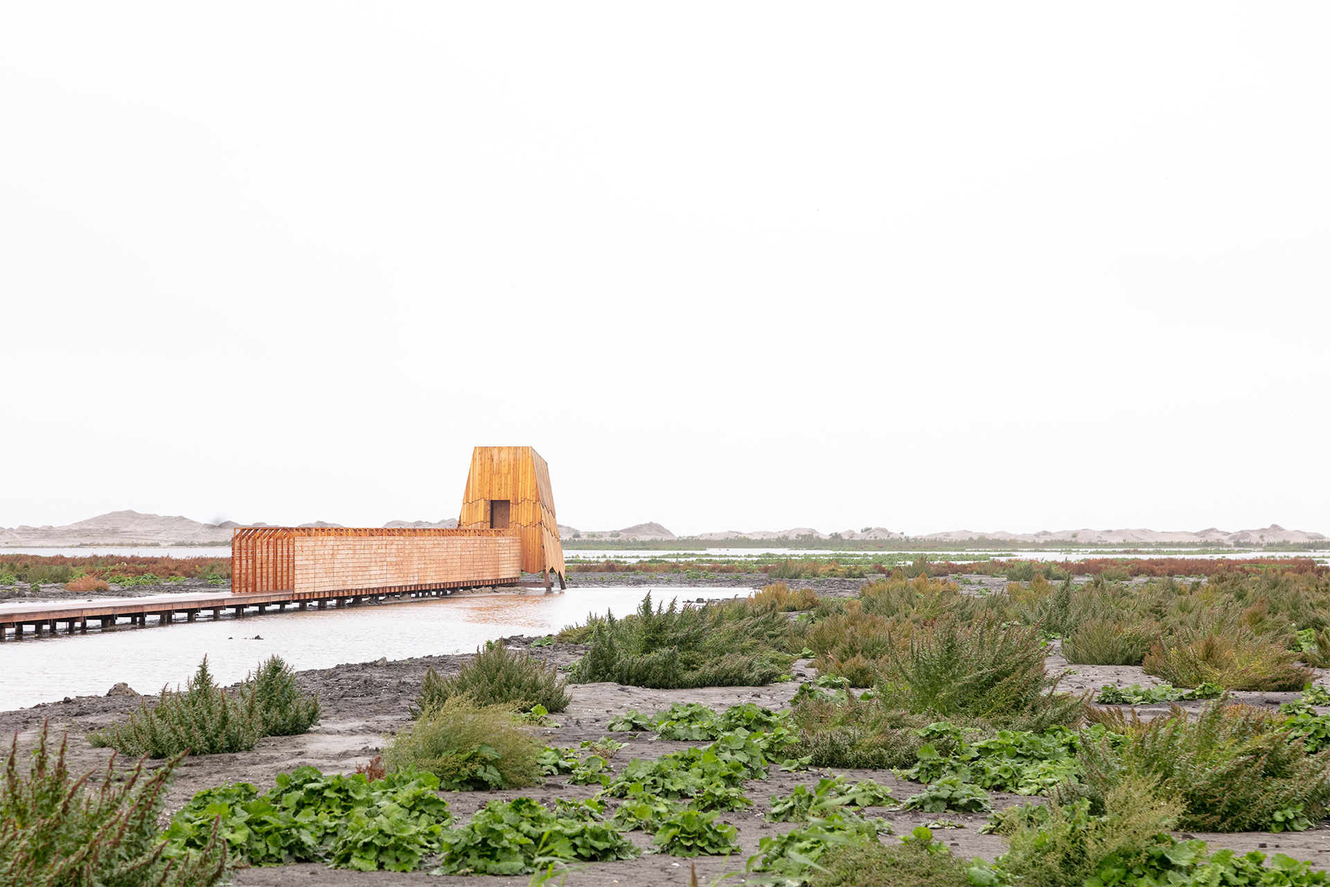 SP2018-Marker-Wadden-5-HiRes