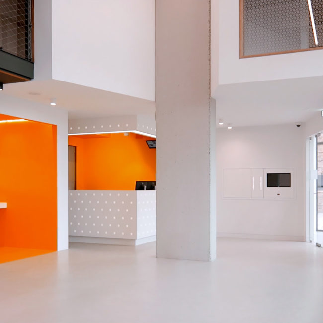 Architectuurvideo Orthodontiepraktijk | Architectuur video
